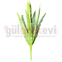 Yukka Yapay İnce 12 Li